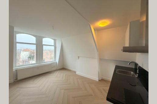 Van Boetzelaerlaan 124