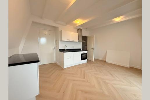 Van Boetzelaerlaan 124